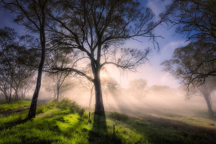 EARLY MORNING IN THE HILLS